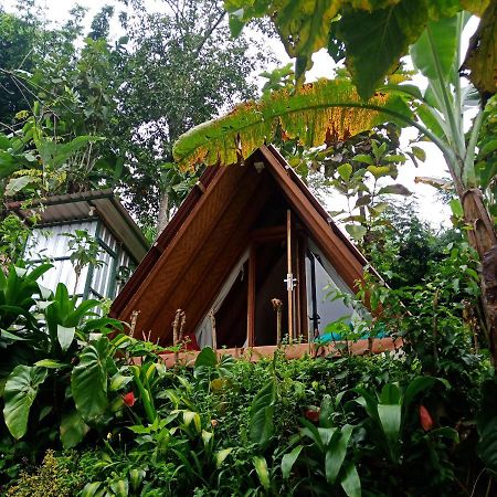 Eco Bedugul Adventurer Camp Bed and Breakfast Exteriör bild