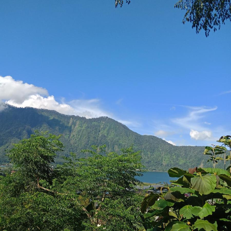 Eco Bedugul Adventurer Camp Bed and Breakfast Exteriör bild