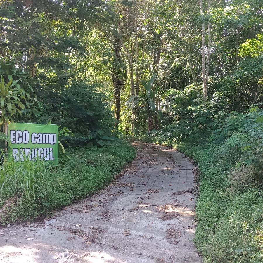 Eco Bedugul Adventurer Camp Bed and Breakfast Exteriör bild