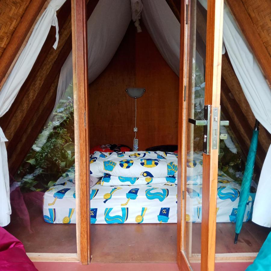 Eco Bedugul Adventurer Camp Bed and Breakfast Exteriör bild