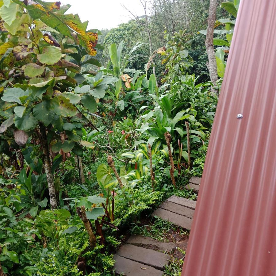 Eco Bedugul Adventurer Camp Bed and Breakfast Exteriör bild